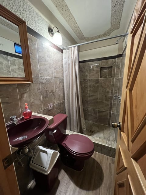 Family Triple Room | Bathroom | Shower, rainfall showerhead, free toiletries, soap