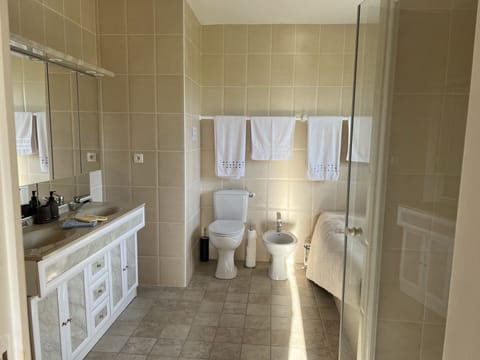 Double Room | Bathroom | Shower, hair dryer