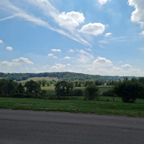 Zen caravan in a small private garden Campground/
RV Resort in Vosges