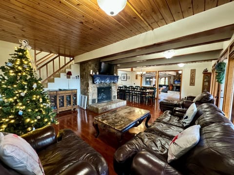 CHRISTMAS FAMILY ROOM & FIREPLACE