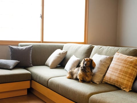 Dog-Friendly Suite with Living Room Sofa, Non Smoking | In-room safe, desk, iron/ironing board, free cribs/infant beds