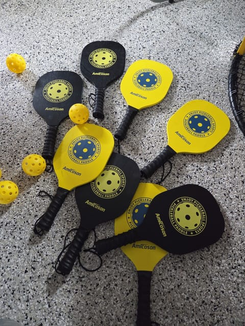 We provide 8 pickleball paddles at our airbnb to take along to the public park.