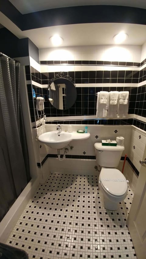 Standard Double Room Single Use, 1 Double Bed, Kitchenette, Ground Floor | Bathroom | Shower, free toiletries, hair dryer, towels
