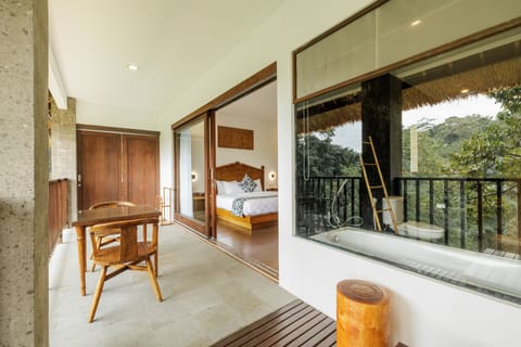 Deluxe Double or Twin Room | Terrace/patio