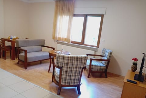 Classic Apartment | Living area | 81-inch LCD TV with satellite channels, TV