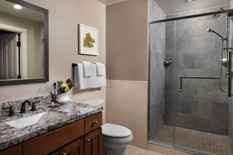 Separate tub and shower, hair dryer, towels