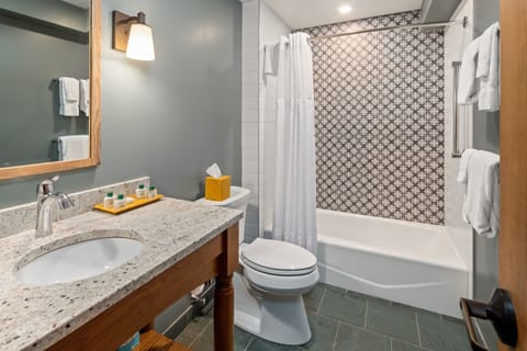 Mountain Suite | Bathroom | Free toiletries, hair dryer, bathrobes, towels