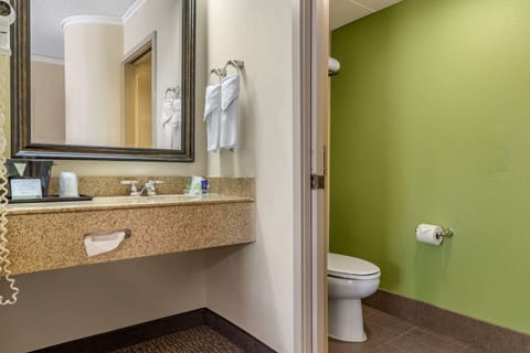 Standard Room, 1 King Bed, Non Smoking | Bathroom | Free toiletries, hair dryer, towels