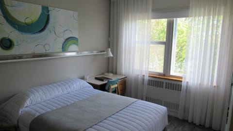 Comfort Double or Twin Room, 1 Double Bed, Private Bathroom, Lake View | Desk, blackout drapes, iron/ironing board, bed sheets