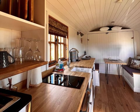 Cabin | Private kitchen | Fridge, microwave, oven, stovetop