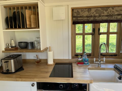 Cabin | Private kitchen | Fridge, microwave, oven, stovetop