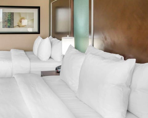 Premium bedding, down comforters, pillowtop beds, desk