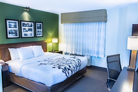 1 bedroom, premium bedding, individually decorated