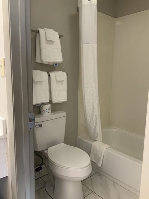 Combined shower/tub, deep soaking tub, hair dryer, towels