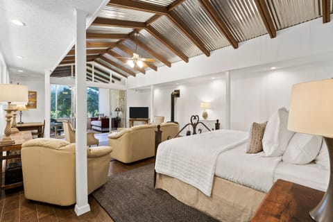 Premier Room, 1 King Bed | Iron/ironing board, free WiFi