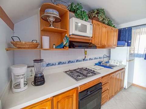 Panoramic Apartment | Private kitchen | Full-size fridge, dishwasher, blender, cookware/dishes/utensils