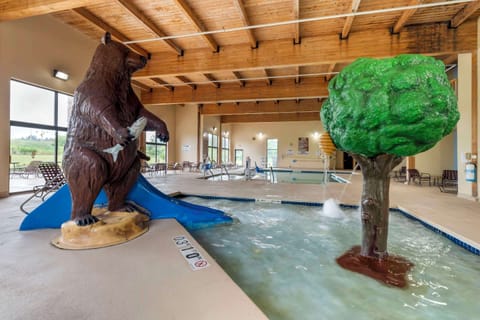 Indoor pool, sun loungers