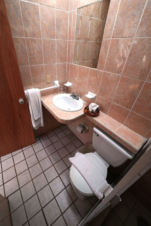 Standard Room | Bathroom | Shower, free toiletries, hair dryer, towels