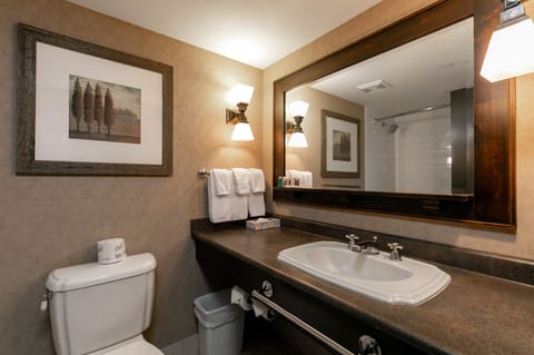 Family Studio Suite, Multiple Beds | Bathroom | Combined shower/tub, deep soaking tub, hydromassage showerhead
