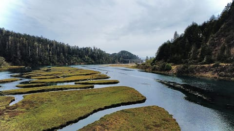 2 miles away is the Big River Beach with rentable canoes and calm waters.