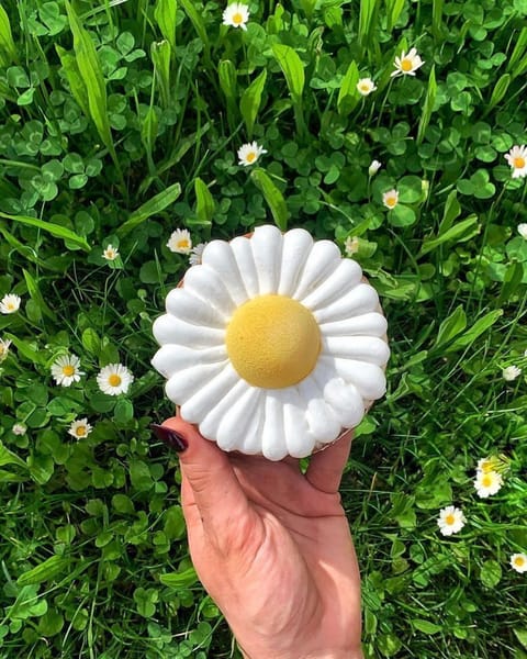 Breakfast, lunch and dinner served