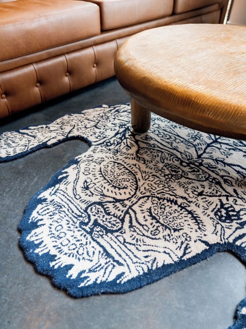 43-inch flat-screen TV with satellite channels, TV