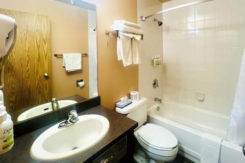 Combined shower/tub, deep soaking tub, hair dryer, towels