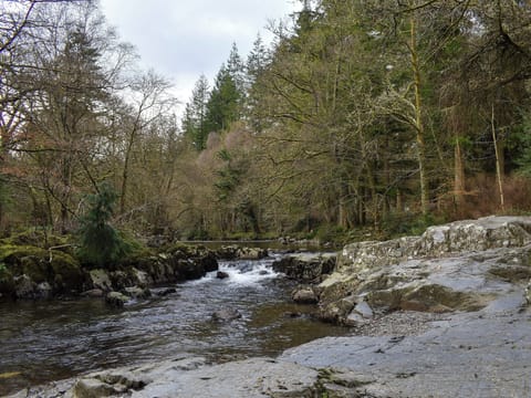Surrounding area | 4 Banc Llugwy - Banc Llugwy Cottages, Betws-y-Coed