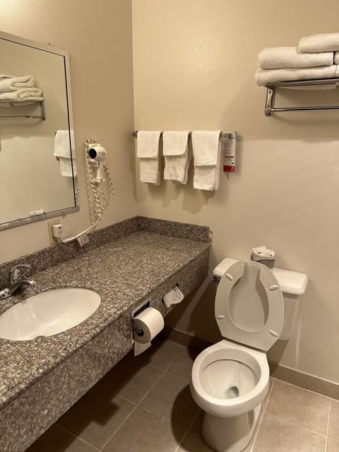 Combined shower/tub, free toiletries, hair dryer, towels