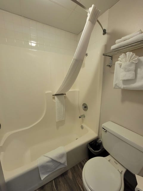 Combined shower/tub, free toiletries, hair dryer, towels