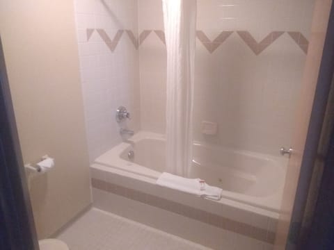 Combined shower/tub, hair dryer, towels