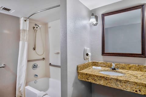 Deluxe Room, 1 King Bed, Accessible, Non Smoking | Accessible bathroom