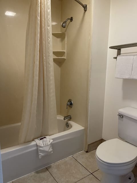 Combined shower/tub, hair dryer, towels