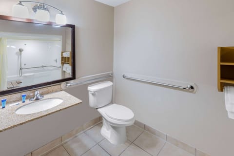 Room, 1 Queen Bed, Accessible, Non Smoking (Mobility, Roll-In Shower) | Accessible bathroom