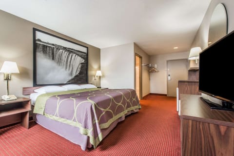 Studio Suite, 1 King Bed, Non Smoking | Down comforters, individually decorated, individually furnished, desk