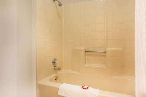 Combined shower/tub, free toiletries, hair dryer, towels