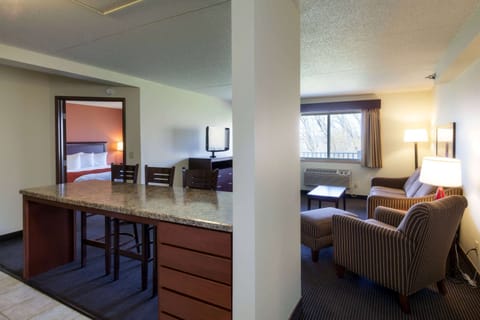 Luxury Suite, 1 King Bed, Non Smoking | Room amenity