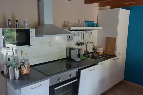 Apartment | Private kitchen | Fridge, microwave, oven, stovetop