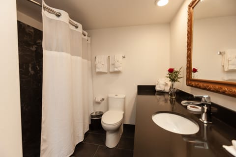 Suite, 1 Bedroom | Bathroom | Shower, hair dryer, towels, soap