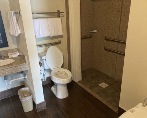 Superior Room, 1 King Bed, Accessible, Non Smoking (Roll-In Shower) | Bathroom | Hair dryer, towels, soap, shampoo