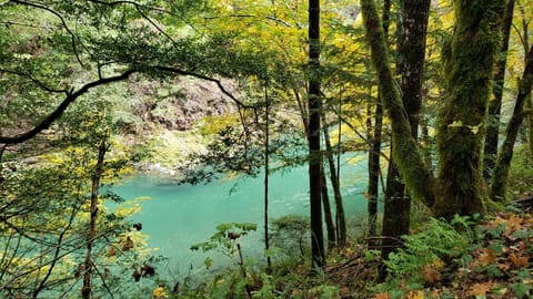 Elk River/Elk River Rd. Beautiful, many places for day use and River access.