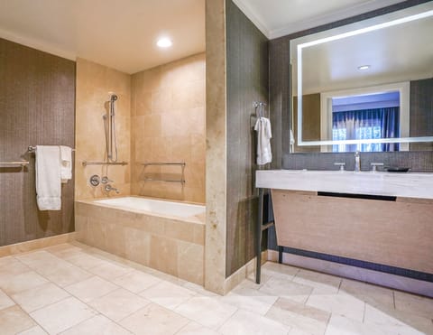 Room, 1 King Bed, Accessible | Bathroom shower