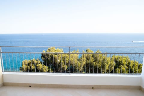 Apartment (1 Bedroom) | Balcony