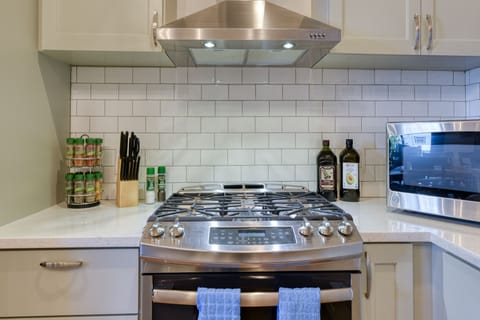 Stainless steel gas range