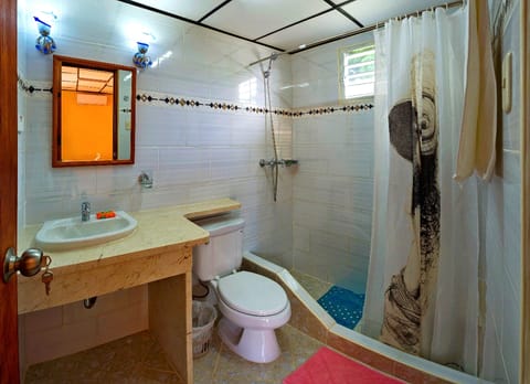 Classic Room | Bathroom | Shower, towels