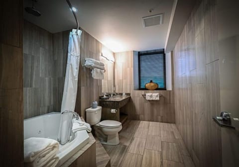 2-Storey Loft Suite | Bathroom | Free toiletries, hair dryer, towels, soap