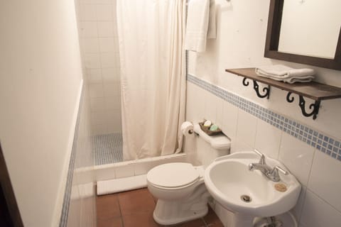 Standard Room (double bed) | Bathroom shower