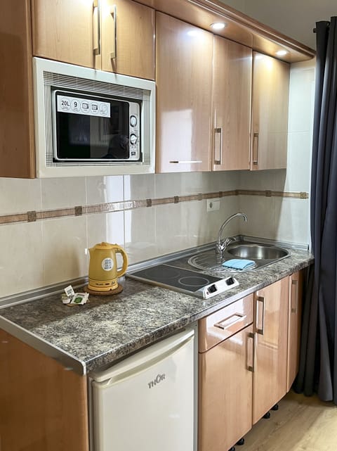 Studio | Private kitchen | Fridge, microwave, electric kettle