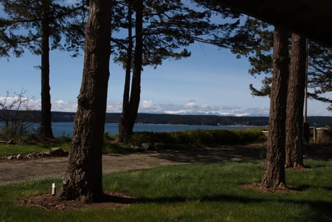 Enjoy the view of Olympics while sitting under the covered porch.