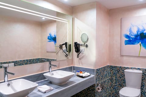 Elite Room | Bathroom | Shower, free toiletries, hair dryer, slippers